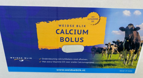 koe in de wei